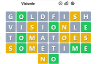 Visionle